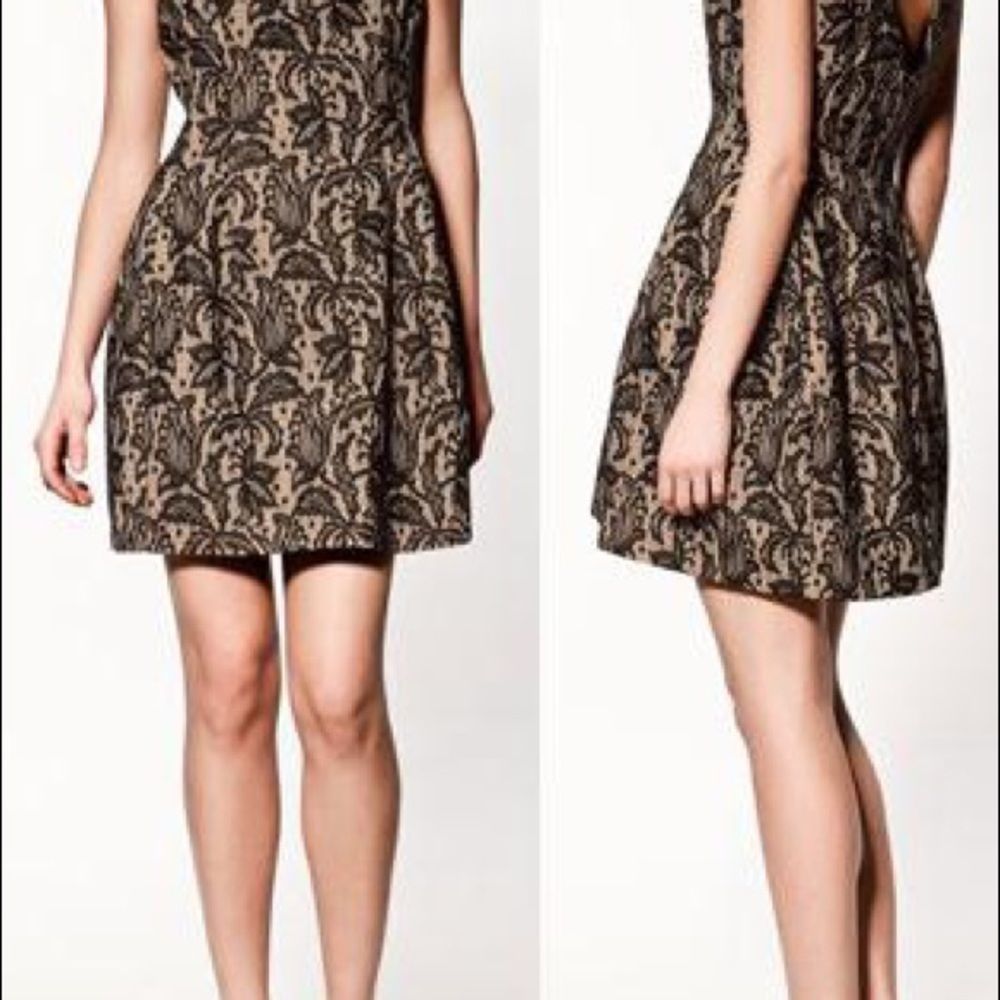 RARE! ZARA "Lace tulip" Dress~ Small~ US 4~Kate M - Picture 3 of 5